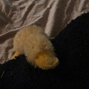 Meet your Posher, Ethan